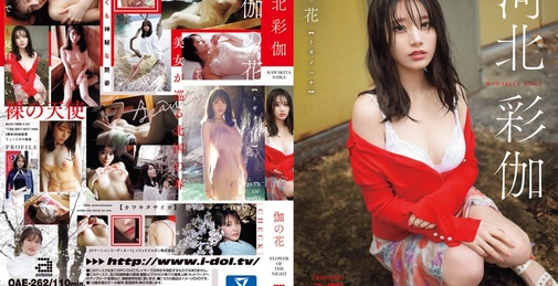 OAE-262 伽の花 河北彩伽  []