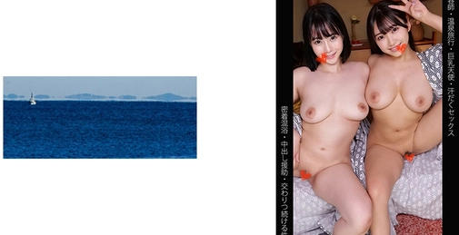 467SHINKI-210 M210 酱 & H210 酱[]